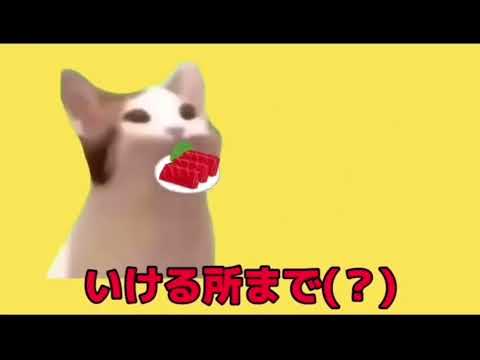 猫ミームでマッシュで作ってみた