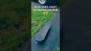 DUCK ON SKATEBOARD #memes #music #funny #meme #outrosong #outro #duck #ducky