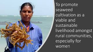 Seaweed Cultivation under PMMSY