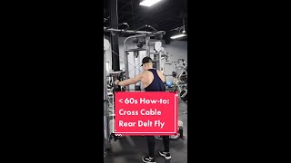 Cross Cable Rear Delt Fly - Under 60s How-to - Schaum Fitness
