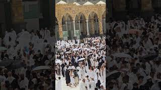 Kaba Dikha De Mola🥰❣️💞#sorts #tyshort