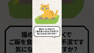 It's unclean to eat near the cat litter box #cat #life with cats #cat