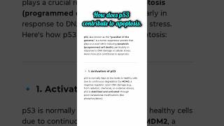 How does p53 contribute to apoptosis? #ignou #msczoology #msc #exam #zoology #biology #bio #net #jrf