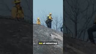 Dragon Bravo Fire Devastates Grand Canyon   #news #grandcanyon  #wildfire #awareness