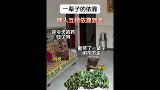 你是我一辈子的依靠#脑洞大开 #爽文 #搞笑 #故事