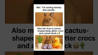 #shortsmeme #funnyshorts #relatablehumor #animalshorts #shoppingfails #youtubecomedy rabbit funny