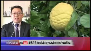 【秦伟平：贸易战只是刚刚开始，中美间未来会有更多冲突】 4/5 #时事大家谈 #精彩点评