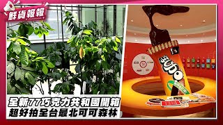 77巧克力共和國全新展區開箱！全台最北可可森林就在桃園 還有超特別牛肉麵風味巧克力？！| 鮮貨報報 | 壹起FUN