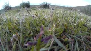 Hubsan X4 Pro Standard Edition + Feiyu Tech Mini 3D Axis Gimbal Test Footage