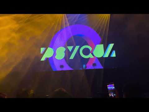 4K PSYQUI 20241116 GOLDDISC ZEROTOKYO