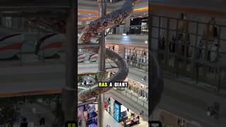 This Mall Replaced Elevators with a GIANT Slide!