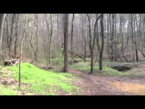 Levi barbed wire fail @ The Farm