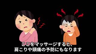 白髪対策