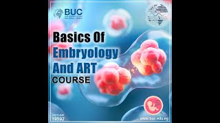 IVF Course at Badr University in Cairo (BUC)