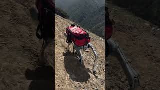This Robot Dog Carries Your Gear While You Hike..!  #futuretech #inventions #technology