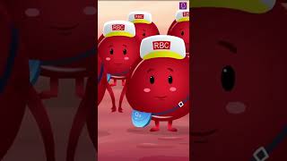 Why Urine is Yellow in Colour? | Now We Know | BYJU'S - Class 6, 7 & 8 #Shorts
