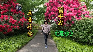 五音疗愈管平湖流水疏肝解郁