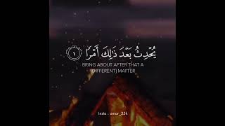 Quran Lines | Islamic Shorts Status | Islamic Videos | Quran Tilawat | Beautiful Quran