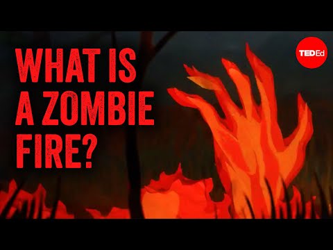 How are these fires burning underground? - Emma Bryce
