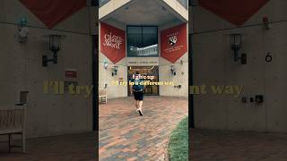 HARVARD Students NEVER STOP
