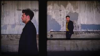 Niall Horan - Everywhere (Official Visualizer)