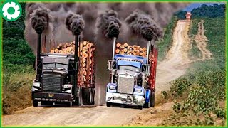 Dangerous Fast Skill Tree Felling With Chainsaw, Logging Wood Truck Operator & Wood Heavy Machinery