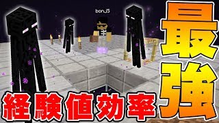 【マイクラ】経験値効率最強！『エンダーマントラップ』建築開始！【ドズクラPART256】【ドズぼん】