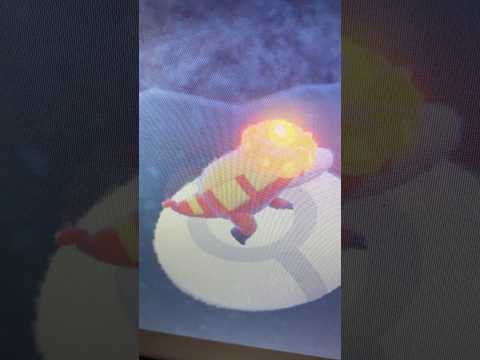 Spin