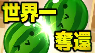 …【switch版スイカゲーム】