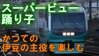 【乗車記録】スーパービュー踊り子というのはこのような列車でした