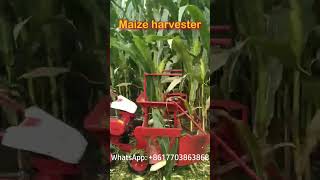 🌾 Versatile Maize Harvester 🚜 | Adapts to All Terrains & Saves Labor!