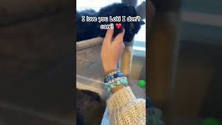 Second time doing this! #ilovemycat #silly #cat #catvideos #therians #theriandance