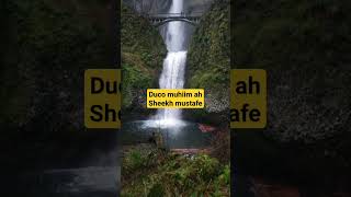 Sheekh mustafe 2024 |duco muhiim a h #shorts #sheekhmustafa #duco