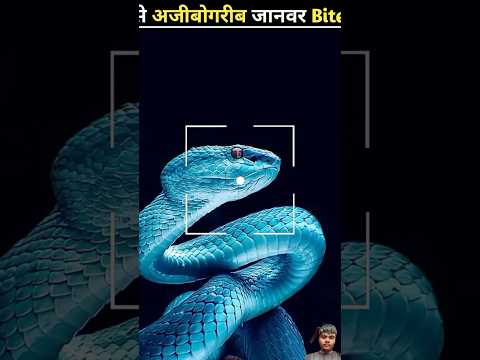 😱😱 #factsinhindi #facts #knowledge #lifehacks #animals #science #viralvideo #factsero