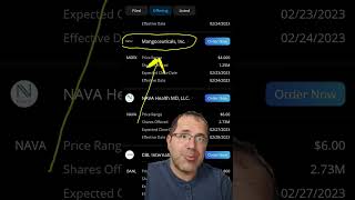 Should You Buy This Stock? Mini IPO Review