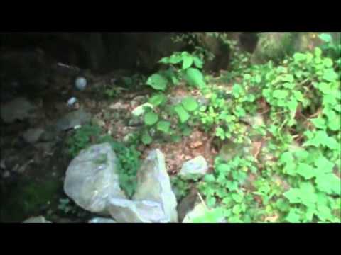 Exploring columbia lake mill