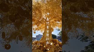 #過年走春 #宜蘭 #黃金 #發財樹 #二結王公廟 #財神 #平安粥 #旅行 #taiwan #travel #yilan  #goldentree