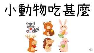 小動物吃甚麼