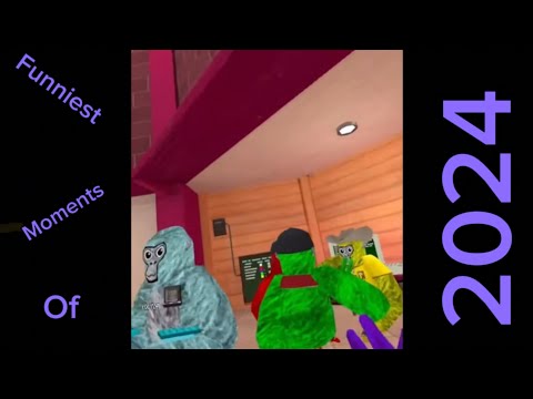 Funniest moments from 2024! #funny #gorillatag #scarybaboon #2025 #newyear
