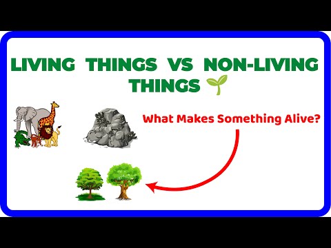 Living Things Vs. Nonliving Things (BIOLOGY INTRODUCTION)