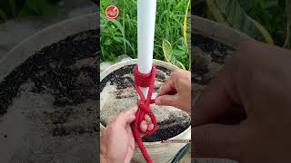 How to tie knots rope at home idea for you, #diy #viral #shoelaces #satisfying #lifehacks #knotrope