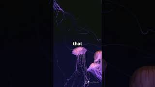 🌊💀 Deep Sea Horrors: What Lurks Beneath! 🐙🫧
