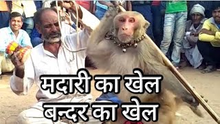 #Madharikakhel #bandarkakhel #kheloindia बंदर बंदरिया का खेल जादू का खेल|| #rakeshk9vilog #rakeshk9