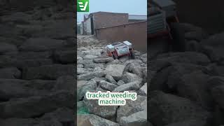 Cordless rubber track grass cutting machine China manufacturer factory distributor#chinamower #bush