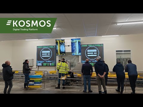 KOSMOS moderniseert de 6 visveilingen in Cornouaille