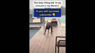 Oga sabinus before fame😩#ogasabinus #subscribe #wizkidchrisbrown #nigeria