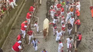 Four injured on final day of San Fermin bull runs in Pamplona