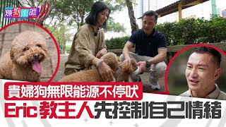 屈臣氏 Wats Petmacy 寵物藥妝呈獻：煉狗術師III｜貴婦狗無限能源不停吠 Eric教主人先控制自己情緒｜ Eric Ko ｜ 鄺芷凡 ｜ 貴婦狗 ｜第8集｜HOY｜HOYTV
