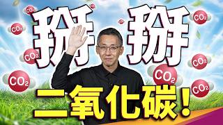 諾貝爾獎等級的新材料？消滅二氧化碳最快的方式！地球終於有救了？