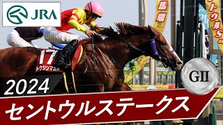 2024年 セントウルステークス（GⅡ） | トウシンマカオ | JRA公式